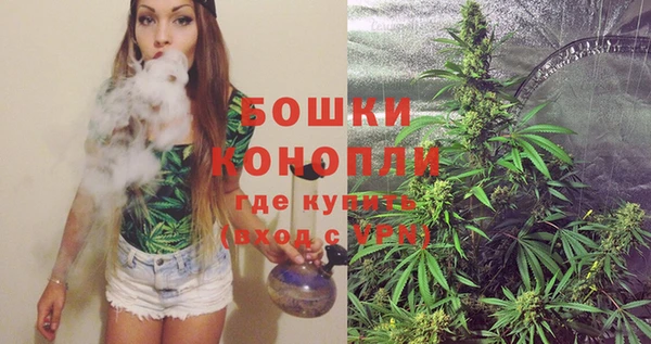 сатива Вяземский