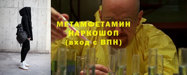 сатива Вяземский