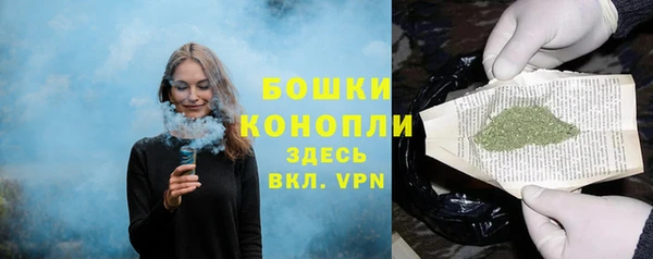 ешки Горнозаводск