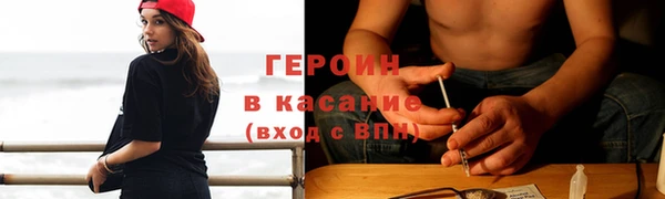 сатива Вяземский