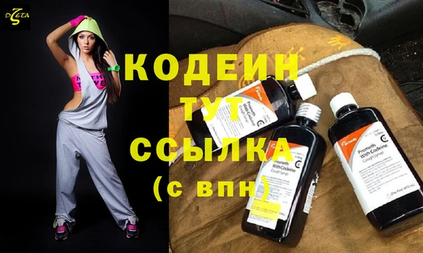 сатива Вяземский