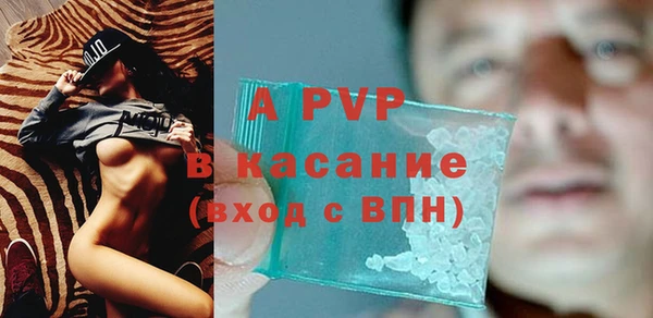 сатива Вяземский
