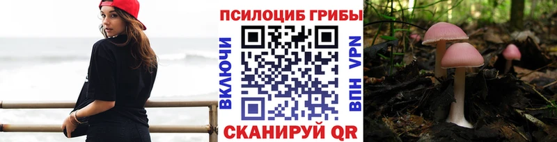 Галлюциногенные грибы прущие грибы  Купить закладки  Красноармейск 
